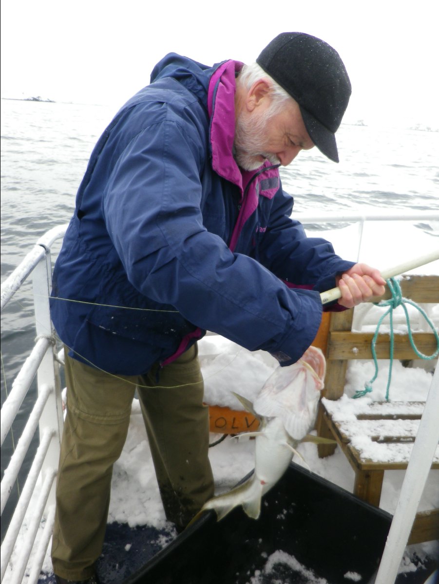 Cod Fishing25